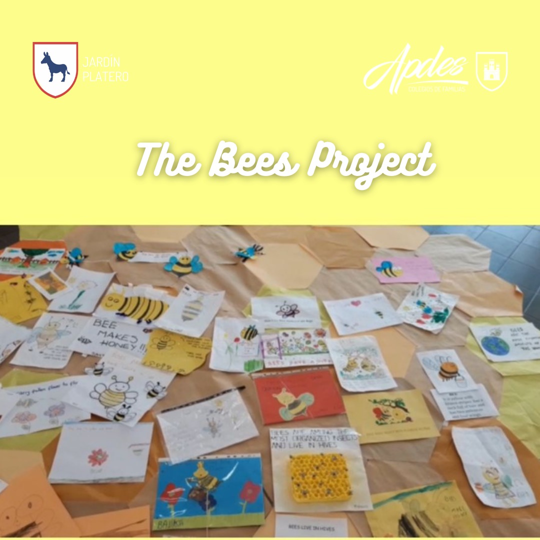 The Bees Project